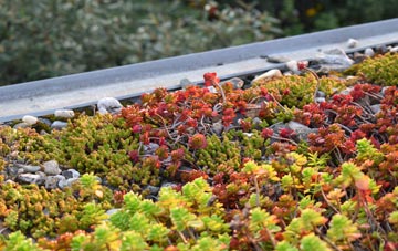 the cost of Portholland green roof installation