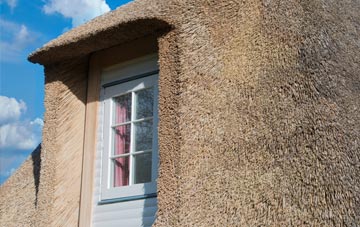 Portholland thatch roof disadvantages